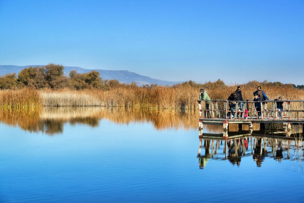 8244e8d108e5fbdce32814852a84692a